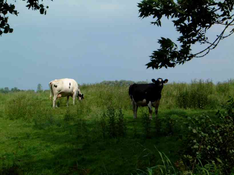 N�he Wanderweg Klintweg