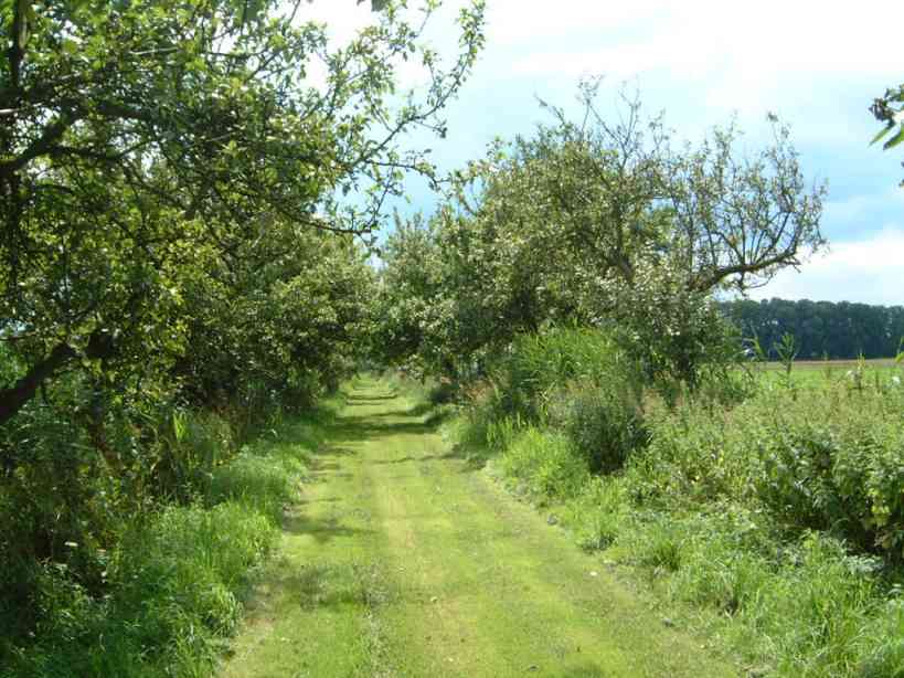 Von-Korffscher-Weg in Oederquart